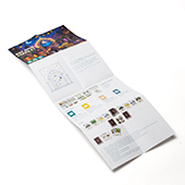 Custom Cross Fold Booklet for standard card games