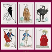 Playing Cards