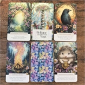 Playing Cards