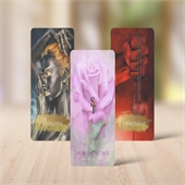 Playing Cards