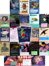 Playing Cards
