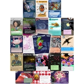 Playing Cards