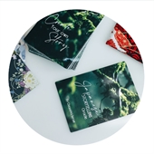 Playing Cards