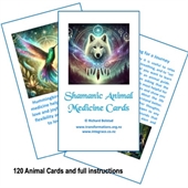 Playing Cards