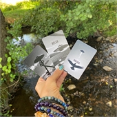 Playing Cards