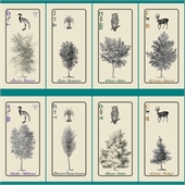 Playing Cards