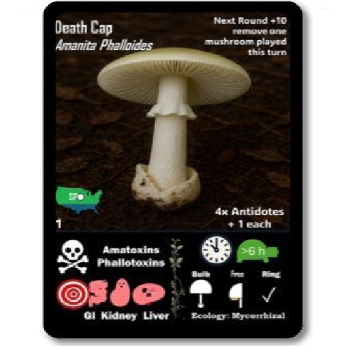 GOTTA PICCEM- Version 3 (Plain White Box)