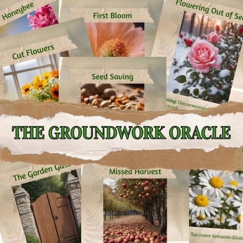 Groundwork Oracle
