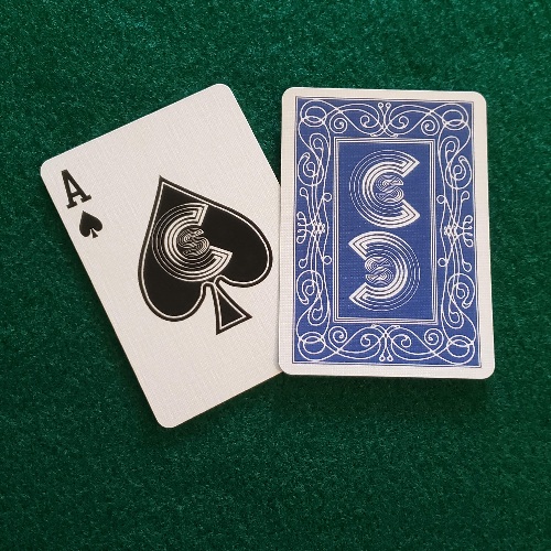 Card Sharks Blue Deck