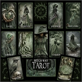 Playing Cards