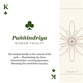 Playing Cards