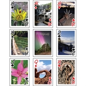 Playing Cards