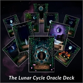 Playing Cards