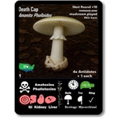 Playing Cards