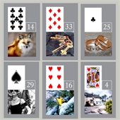 Playing Cards