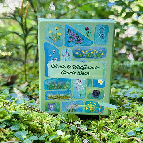 Weeds & Wildflowers