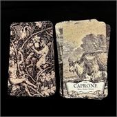 Playing Cards