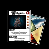 Playing Cards