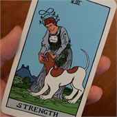 Playing Cards