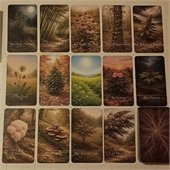 Playing Cards