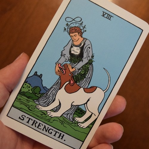 KCD Tarot Premium Deck