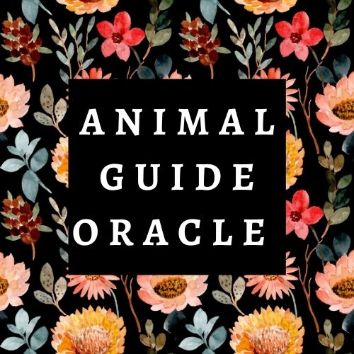 Animal Guide Oracle