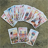 Playing Cards