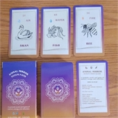 Playing Cards