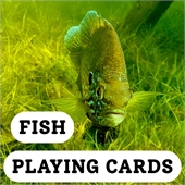 Playing Cards