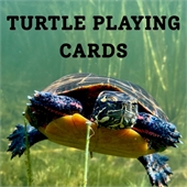 Playing Cards