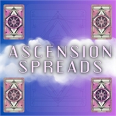 Playing Cards