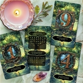 Playing Cards