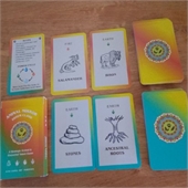 Playing Cards
